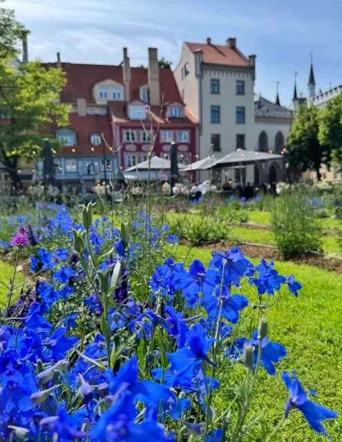 Europe's Hidden Gem! Riga is Absolutely Stunning