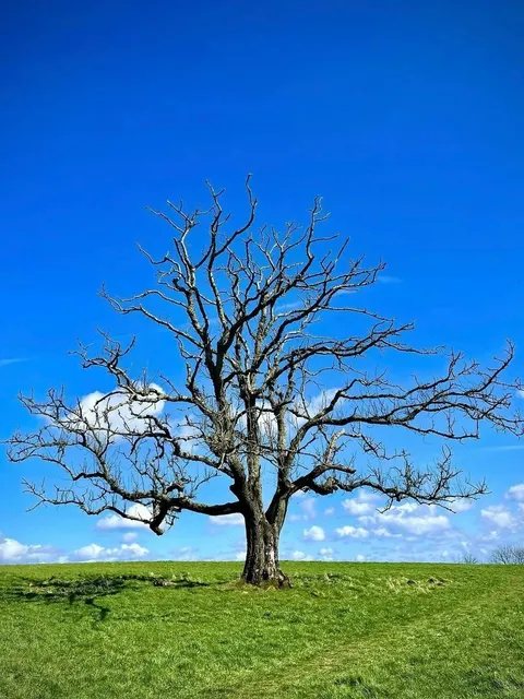 You have to know about this place! It’s incredibly beautiful! 🌟