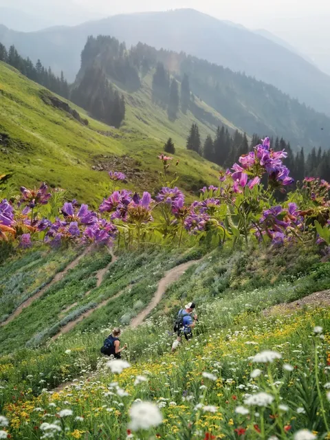 Sauk Mountain in Seattle 