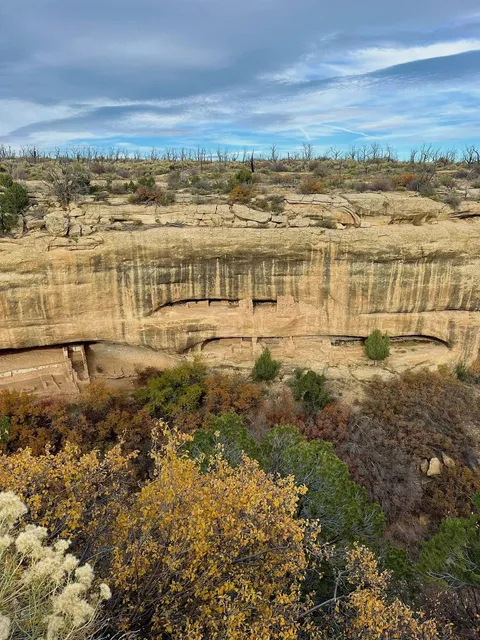 Mesa Verde National Park | Ultimate One-Day Guide