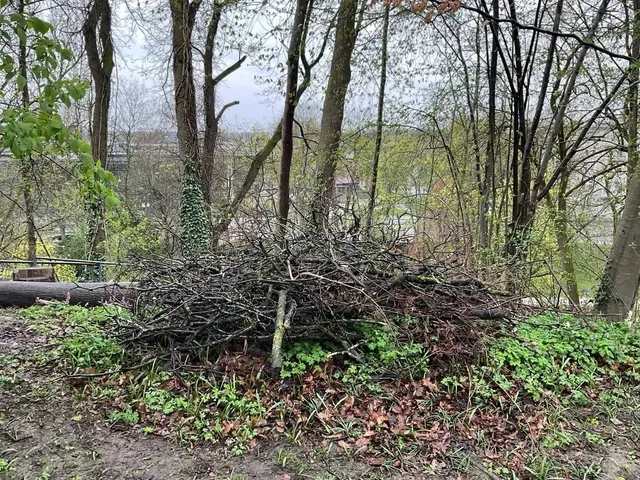 🇩🇪 Augsburg | Where Rainwashed Cobblestones Spark Joy👌