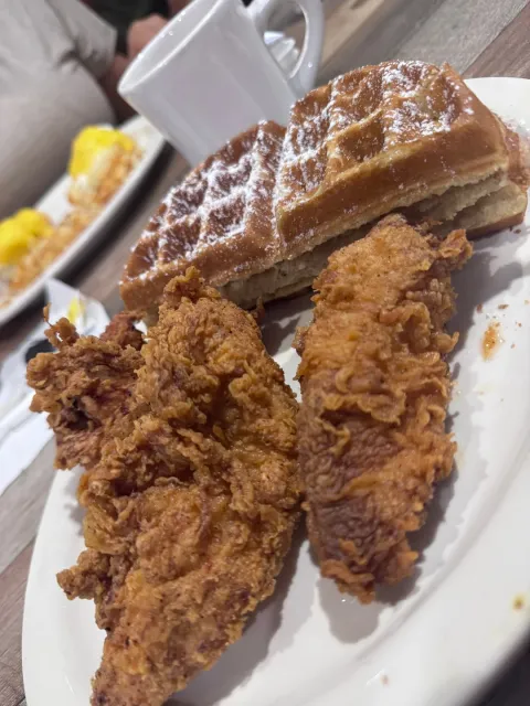 The Best Breakfast in NOLA! 🐔🧇 – Daisy Mae’s Won Our Hearts!