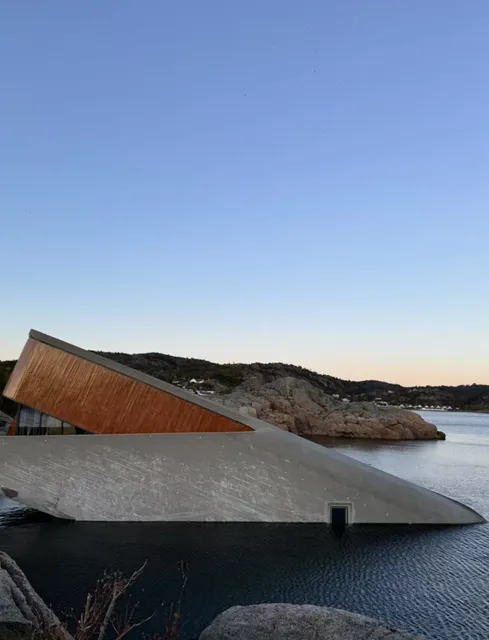 The Under Underwater Restaurant Guide 🐟🌊✨