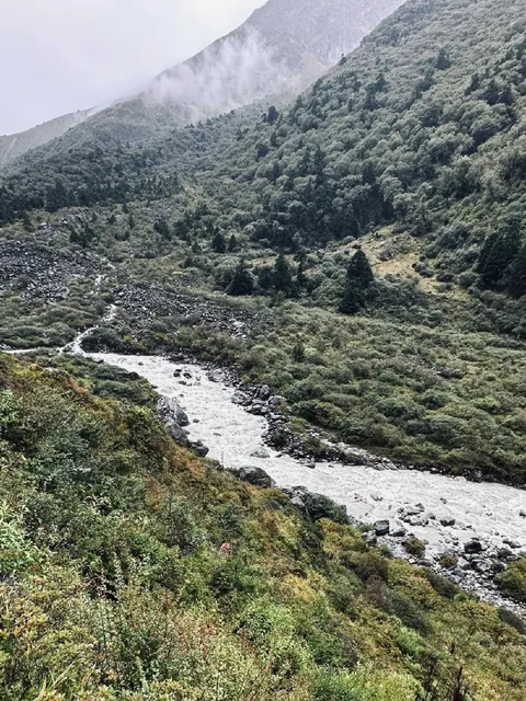 The reason for  hike to Langtang Village?