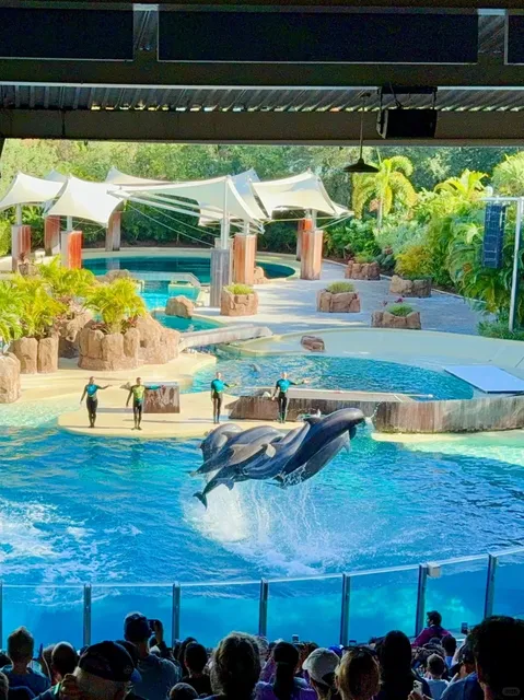 Trip to Orlando SeaWorld