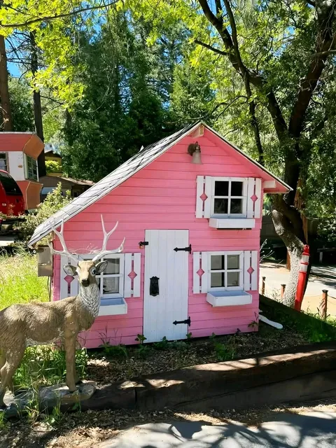 24-Hour Getaway to Idyllwild, LA’s Charming Mountain Town 🌲⛰️