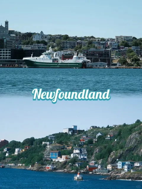 🇨🇦 3 Days as Islanders in Newfoundland 👒