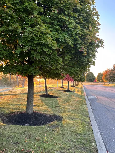 🇺🇸 American Road Trip Diaries | Washington D.C. → Buffalo