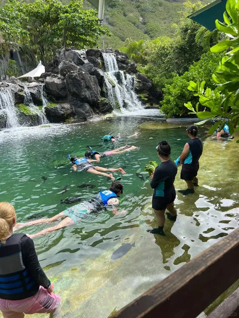 🐬 Sea Life Park - Oahu's Hidden Ocean Gem
