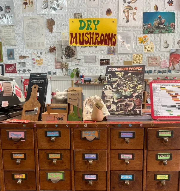 🍄 THE mushroom shop: Somerville’s Fungi Obsession