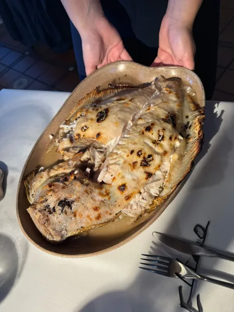 ​​Elkano 💣 - 5/24/25​​