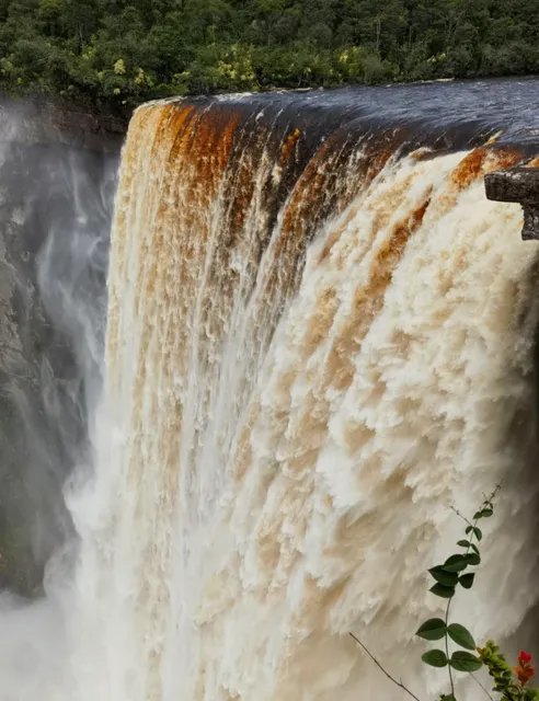 ​​Guyana 🇬🇾 | The World's Tallest Single-Drop Waterfall​​ 🌊✨  ​​