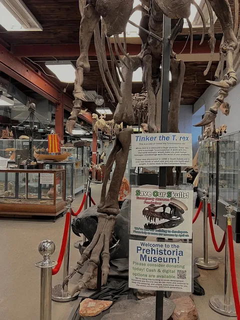 🏺💀 A Fascinating World of Unique Natural Wonders in Dundas!