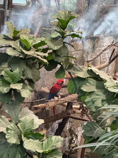 Salt Lake City’s Loveland Aquarium 🇺🇸｜Salt Lake City