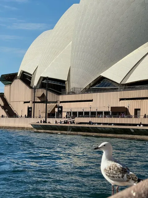 🇦🇺 Sydney's 3-Day Epic Itinerary | Hidden Photo Spots + Map
