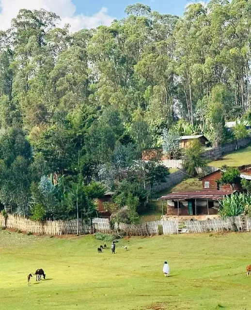 The Elephant Nose House in Albamanci