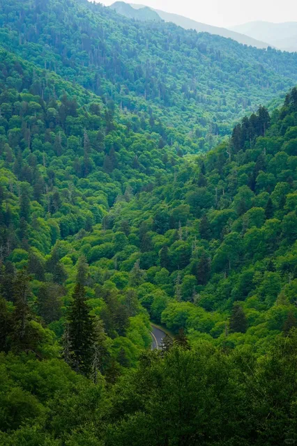 Great Smoky Mountains | Gatlinburg Food, Drinks & Fun Guide 🏞️🍴🥃