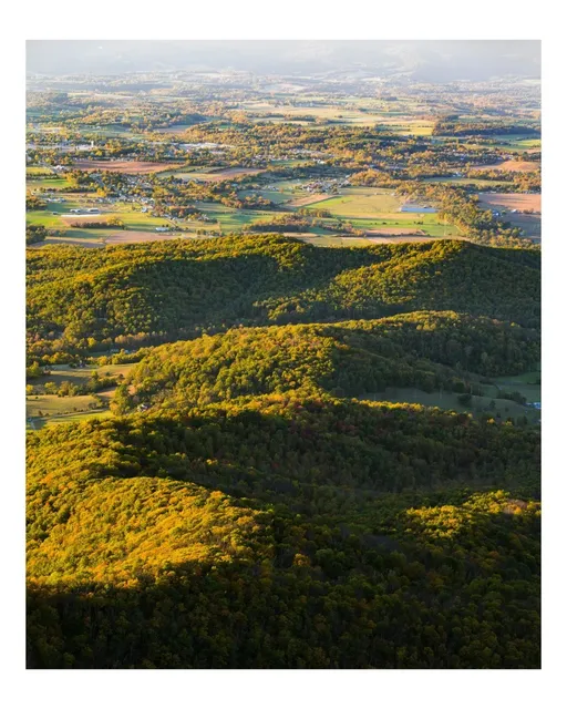 Missed the Peak Fall Colors, But Captured This Moment 🍂📸
