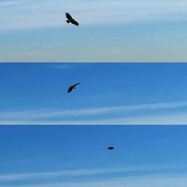 LA Hiking Log – Parker Mesa Overlook 🥾