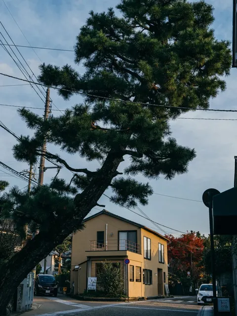 photo-2