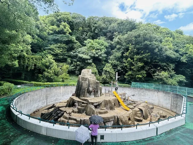 A World of Fascinating Flora and Fauna 🌿