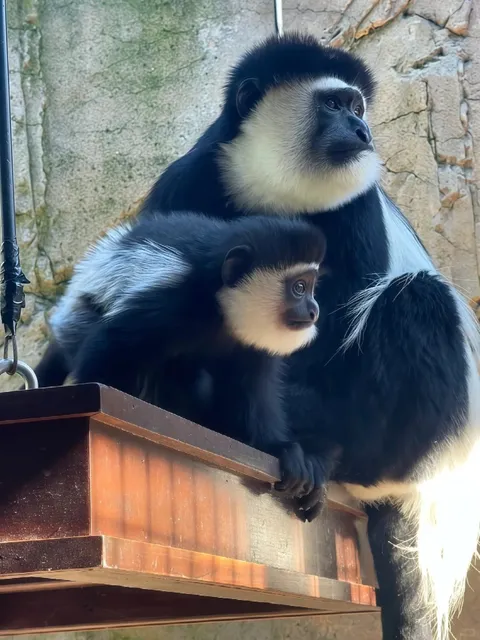 Canberra National Zoo 