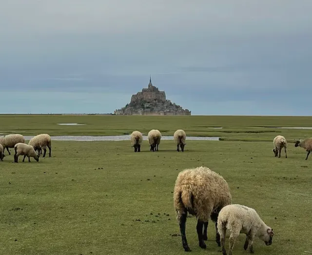 Hidden Ancient Castles in the Forests Surrounding Paris