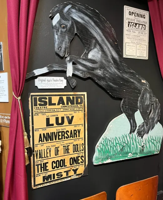  A Dream Reunion with Childhood Horse Stories 🐎🌊