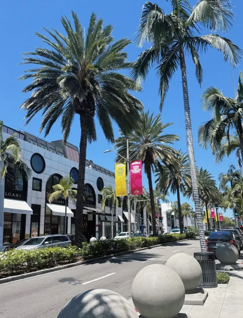 ✨ Beverly Hills | A Shopper's Paradise
