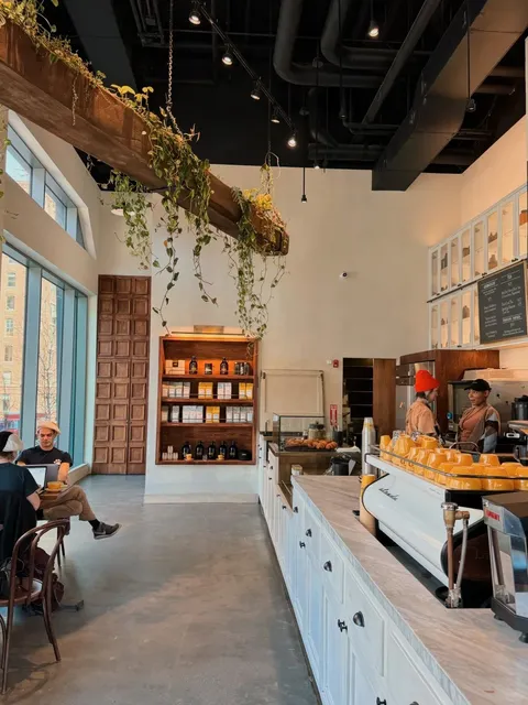 It’s My First Time with Devoción ☕️