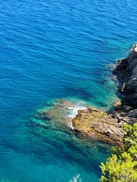 Don’t Miss Tossa de Mar’s "Jellyfish Sea" Near Barcelona! 🌊
