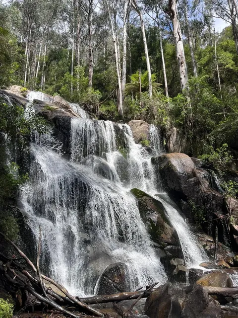 Waterfall Hiking Near Melbourne | Toorongo Falls Walk 🏞️🌳