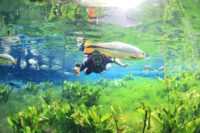 3-Day Bonito, Brazil Itinerary