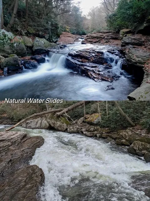 Get Some Fresh Air! Where to Go for a Day Trip Around Pittsburgh? 🌿