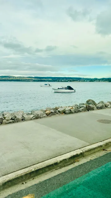 🇳🇿 Taupo's Most Instagrammable Spot: LOVE TAUPO Sign 