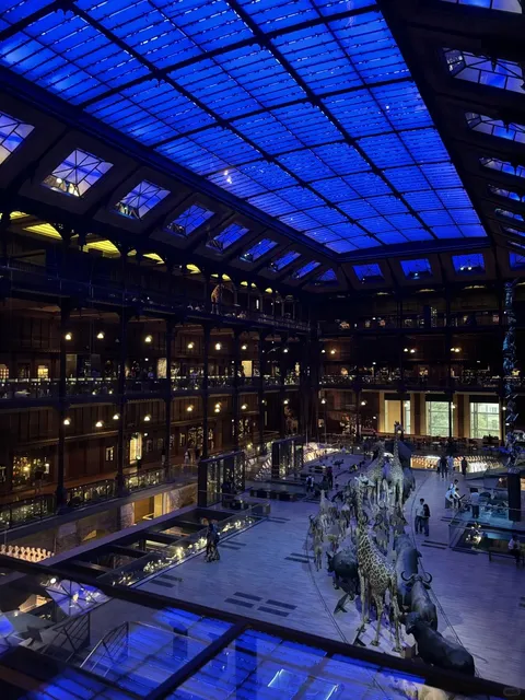 Paris Off-the-Beaten-Path Museum - Gallery of Evolution 🌿🏛️