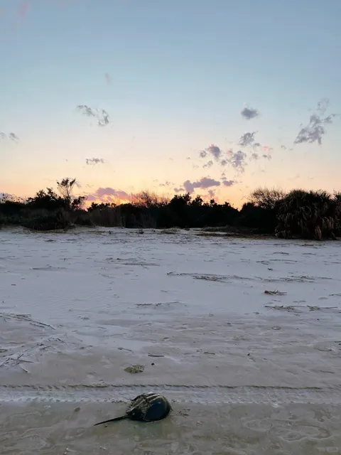 🌴 Charleston & Savannah: A Blissful 4-Day Escape