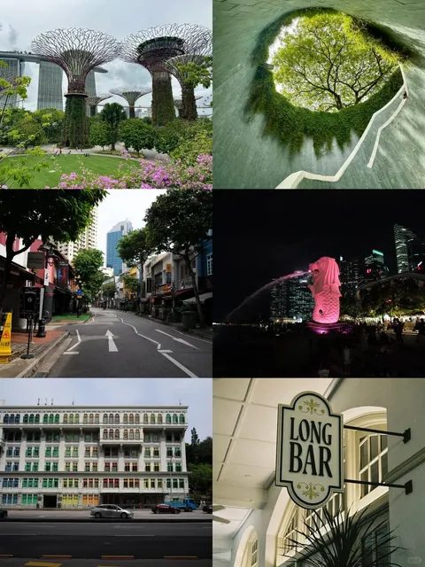 🌸🌺🇸🇬 Visiting Singapore? These Photo Spots 📷 Are a Must!