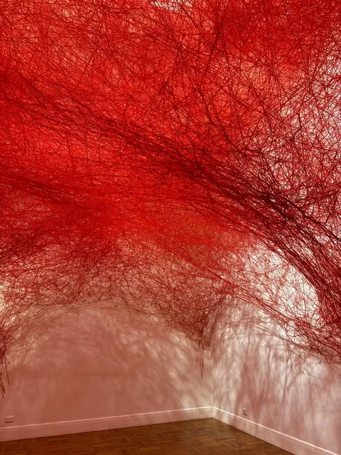  Adelaide｜What to Do (Car-Free Edition!) 🚶✨