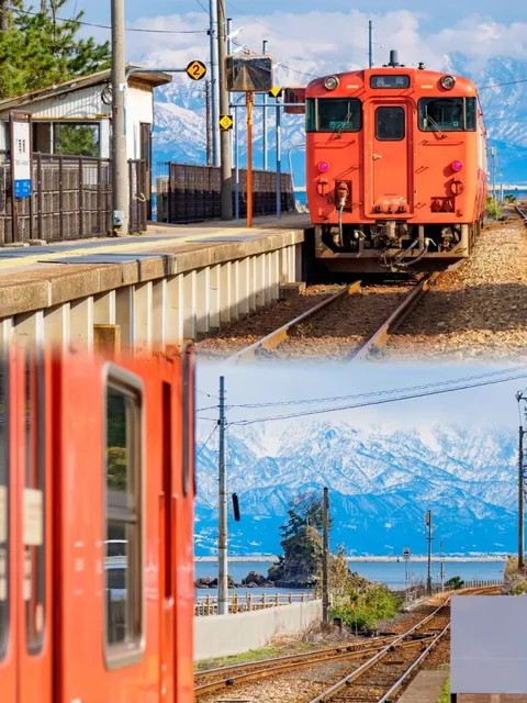 🏔️❄️🌊🌞 I Want It All: Snowy Mountains and Vast Oceans! ☀️🌈