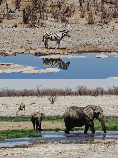 Must-Visit Spots Just Like in Namibia