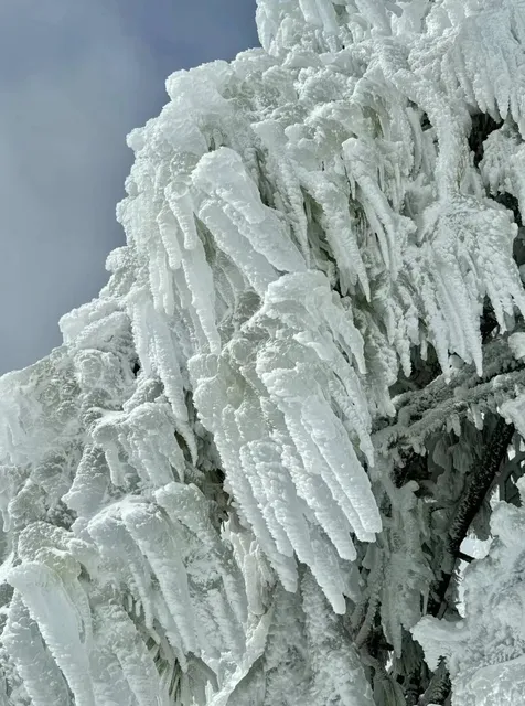 Snow in LA? Yes! ❄️
