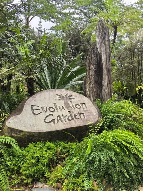 Singapore Botanic Gardens—My Favorite Spot: The Evolution Garden ✌️