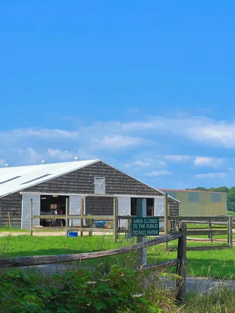 Escape to Long Island’s Hidden Equestrian Paradise! 🐎