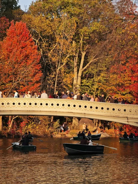 NYC Autumn: When the City Blushes in Red & Gold 🍁