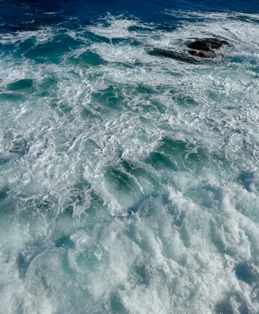 ​​🇰🇷 Life Advice: You Must Visit Pohang with Your Loved Ones! 🌊​​