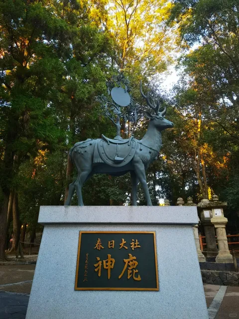 A Day Trip to Nara (2) 🌿