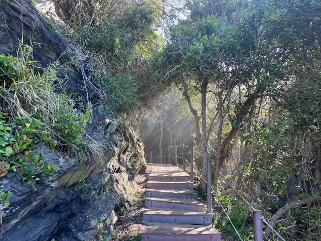Knysna🇿🇦 - From Golden Sunsets to Diamond Galaxies in a Lagoon Town