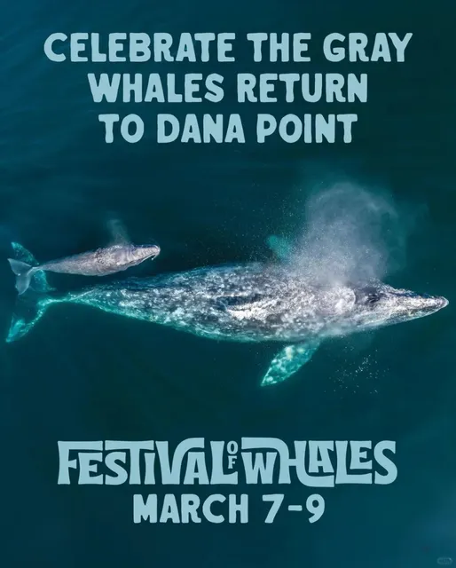 Los Angeles | Guide to the 54th Annual Dana Point Whale Festival 🐳