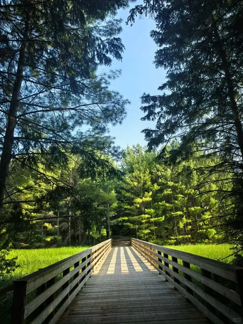 ​​🌲 Aurora's Hidden Gem: David Tomlinson Nature Reserve Trail 🌿​​